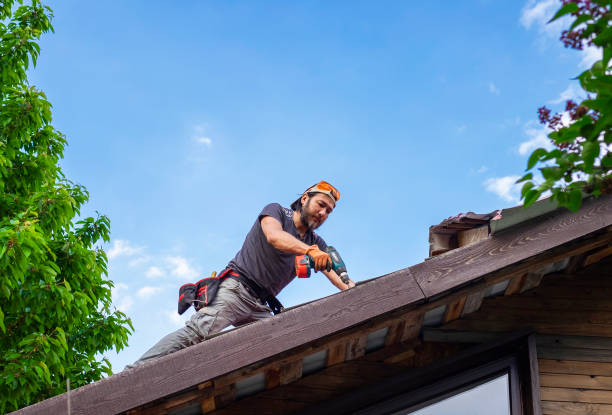 Best Commercial Roofing Services  in Pitola, CA