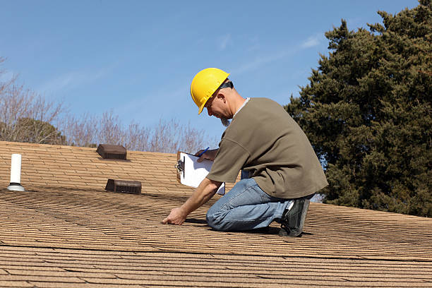 Best Roof Moss and Algae Removal  in Pitola, CA
